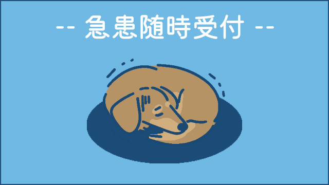 急患随時受付 予約ページへ