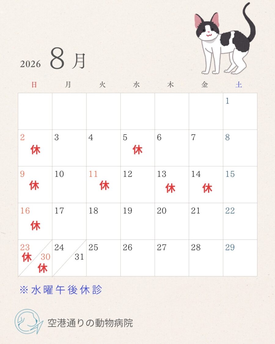 空港通りの動物病院_2026年8月の診療スケジュール