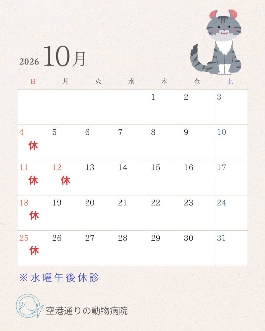 2026年10月の診察スケジュール